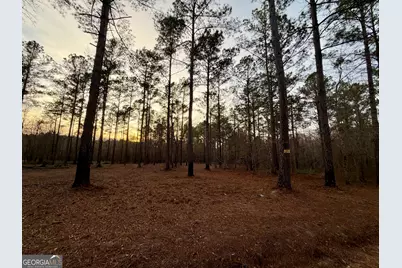 2601 New Evergreen Church Road, Cadwell, GA 31009 - Photo 28