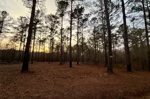 2601 New Evergreen Church Rd, Cadwell, GA 31009 - Photo 28