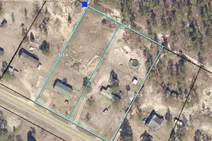 1249 Lambs Bridge Rd, Twin City, GA 30471 - Photo 14