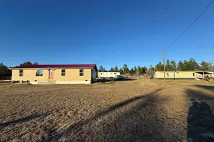 1249 Lambs Bridge Rd, Twin City, GA 30471 - Photo 2