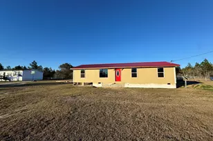 1249 Lambs Bridge Rd, Twin City, GA 30471 - Photo 1