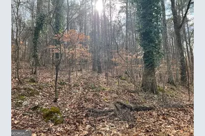 0 Lower Dixie Lake Road, Union City, GA 30291 - Photo 14