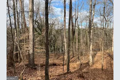 0 Lower Dixie Lake Road, Union City, GA 30291 - Photo 12