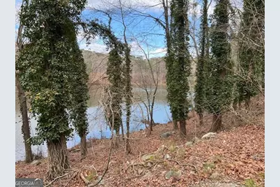 0 Lower Dixie Lake Road, Union City, GA 30291 - Photo 6