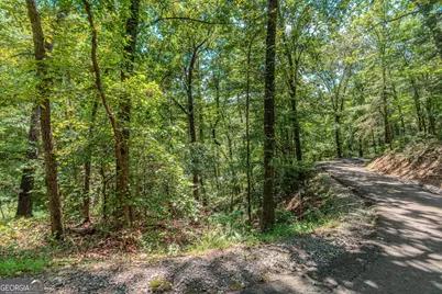 Lot 103R Mountain Creek Hollow Drive, Talking Rock, GA 30175 - Photo 10