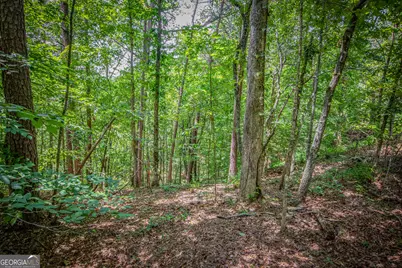 Lot 103R Mountain Creek Hollow Drive, Talking Rock, GA 30175 - Photo 8