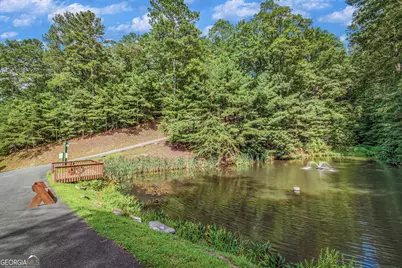 Lot 103R Mountain Creek Hollow Drive, Talking Rock, GA 30175 - Photo 42