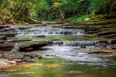 Lot 103R Mountain Creek Hollow Drive, Talking Rock, GA 30175 - Photo 30