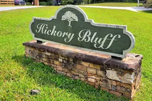 3222 Bluff Rd, Marietta, GA 30062 - Photo 34