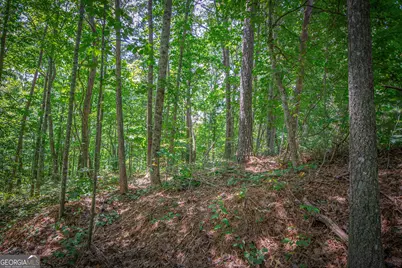 4.7Ac Mountain Creek Hollow Drive, Talking Rock, GA 30175 - Photo 28