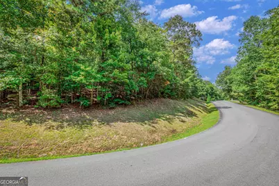 4.7Ac Mountain Creek Hollow Drive, Talking Rock, GA 30175 - Photo 20