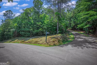 4.7Ac Mountain Creek Hollow Drive, Talking Rock, GA 30175 - Photo 22