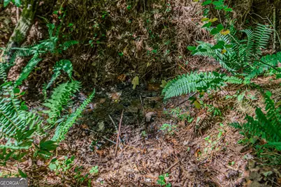 4.7Ac Mountain Creek Hollow Drive, Talking Rock, GA 30175 - Photo 14