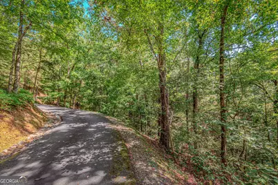 4.7Ac Mountain Creek Hollow Drive, Talking Rock, GA 30175 - Photo 10