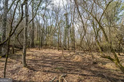 00 Thurman Street, McCaysville, GA 30555 - Photo 18