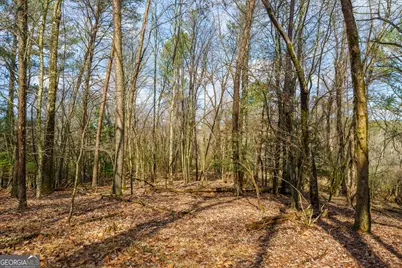 00 Thurman Street, McCaysville, GA 30555 - Photo 20