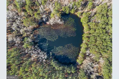 22701 S Highway 129, Cobbtown, GA 30420 - Photo 4