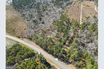 22701 S Highway 129, Cobbtown, GA 30420 - Photo 10