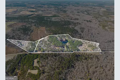 22701 S Highway 129, Cobbtown, GA 30420 - Photo 1