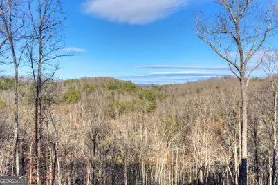 315 River Retreat Road #9, Blue Ridge, GA 30513 - Photo 56