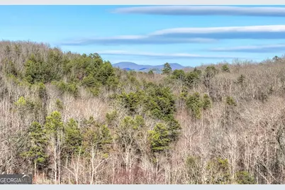 315 River Retreat Road #9, Blue Ridge, GA 30513 - Photo 58