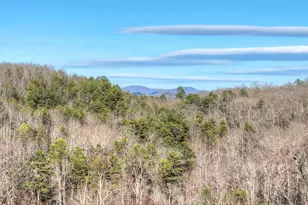 315 River Retreat Rd, Blue Ridge, GA 30513 - Photo 58
