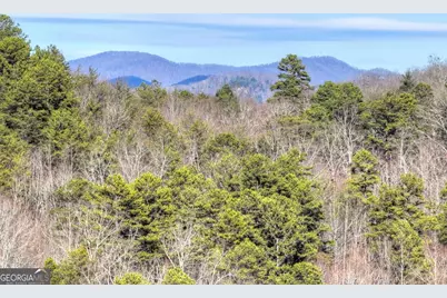 315 River Retreat Road #9, Blue Ridge, GA 30513 - Photo 4