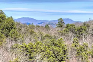 315 River Retreat Rd, Blue Ridge, GA 30513 - Photo 4