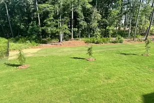 1780 Goodwin, Hampton, GA 30228 - Photo 46