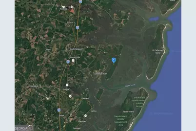 1545 Delegal Drive, Townsend, GA 31331 - Photo 4