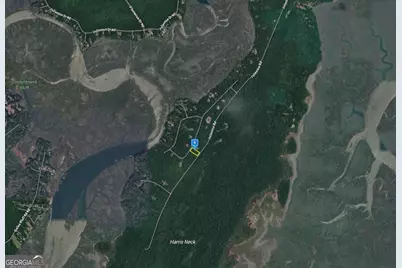 1545 Delegal Drive, Townsend, GA 31331 - Photo 2