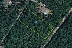 1545 Delegal Dr, Townsend, GA 31331 - Photo 1