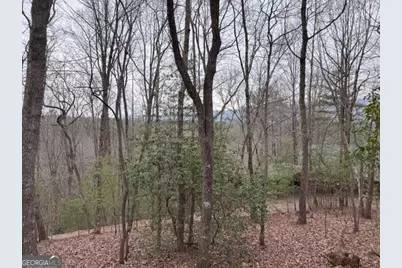 726 Cherry Lake Drive, Cherrylog, GA 30522 - Photo 16