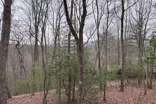 726 Cherry Lake Drive, Cherrylog, GA 30522 - Photo 16