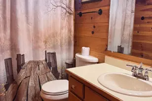 726 Cherry Lake Drive, Cherrylog, GA 30522 - Photo 8