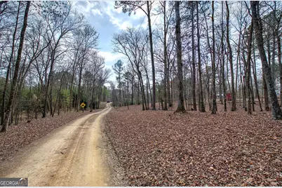 675 McGee Bend Road SW, Cave Spring, GA 30124 - Photo 48