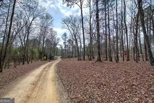 675 McGee Bend Rd SW, Cave Spring, GA 30124 - Photo 48