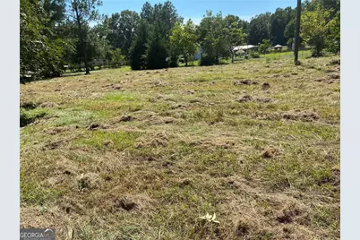 2363 Alvin Joiner Road, Dublin, GA 31021 - Photo 8