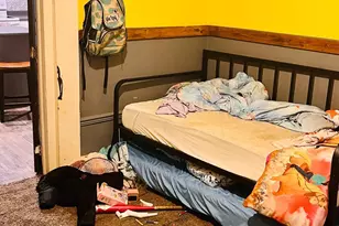 412 Magnolia St, La Fayette, GA 30728 - Photo 12