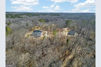 433 Old Roanoke Road, Bowdon, GA 30108 - Photo 8