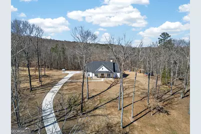 433 Old Roanoke Road, Bowdon, GA 30108 - Photo 6