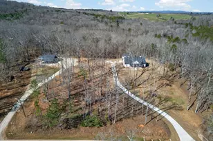 433 Old Roanoke Rd, Bowdon, GA 30108 - Photo 1