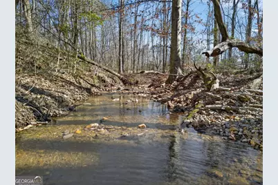 433 Old Roanoke Road, Bowdon, GA 30108 - Photo 52