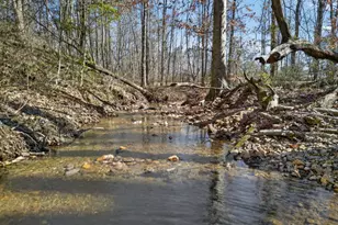 433 Old Roanoke Rd, Bowdon, GA 30108 - Photo 52