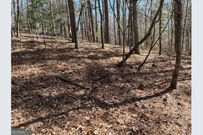 630 N Armor Way, Ellijay, GA 30540 - Photo 8