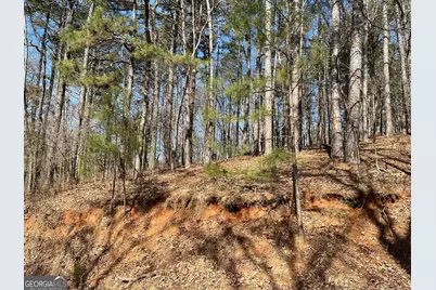 630 N Armor Way, Ellijay, GA 30540 - Photo 4