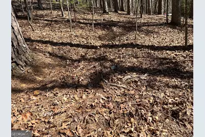 630 N Armor Way, Ellijay, GA 30540 - Photo 12