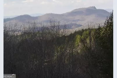 4184 Ridgecrest Trail, Hiawassee, GA 30546 - Photo 46