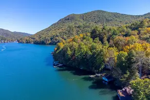 466 Murray Cove Rd, Tiger, GA 30576 - Photo 60