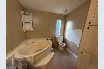 456 M L King Jr Circle, Zebulon, GA 30295 - Photo 14